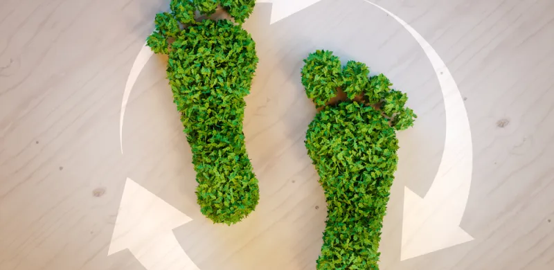 pegada ecológica 